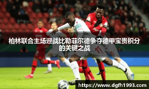 k1体育