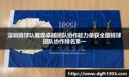 深圳排球队展现卓越团队协作能力荣获全国排球团队协作排名第一